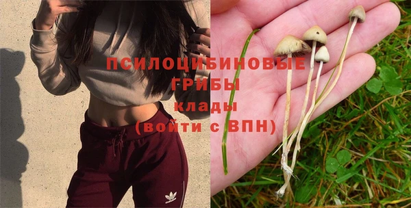 амф Балахна