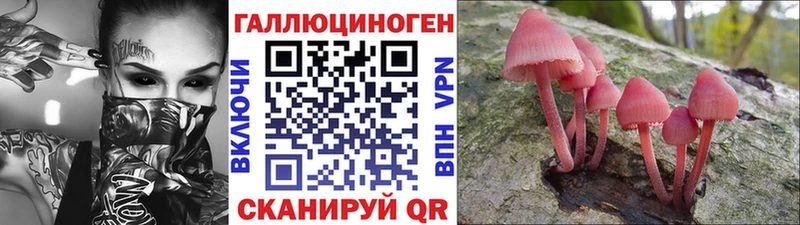 Псилоцибиновые грибы прущие грибы  mega   Семёнов 